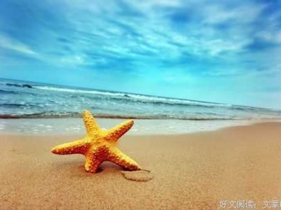 海星读后感（海星模式读后感）