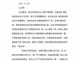 小方舟读后感优秀（小方舟图片）