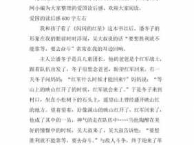 读爱国故事读后感（爱国故事读后感作文400字）