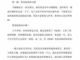 犀利说民国读后感的简单介绍