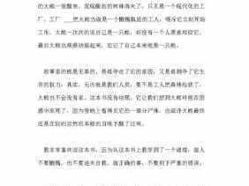 许友彬醒来读后感的简单介绍