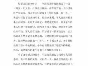 母爱读后感作文600字（母爱读后感作文500）