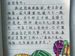 读后感400字有插图（读后感加插图）