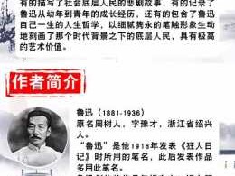 鲁迅写的故乡读后感（鲁迅写的故乡读后感600字）