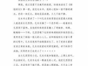 姆指班长读后感（指姆班长的读后感300字）