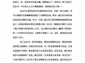 夏洛的网读后感读后感作文（夏洛的网读后感小学生读后感）