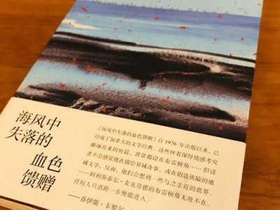 《海风下》读后感（海风下主要内容）