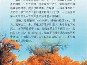 西风胡杨读后感日记（西风胡杨引起怎样的思考）