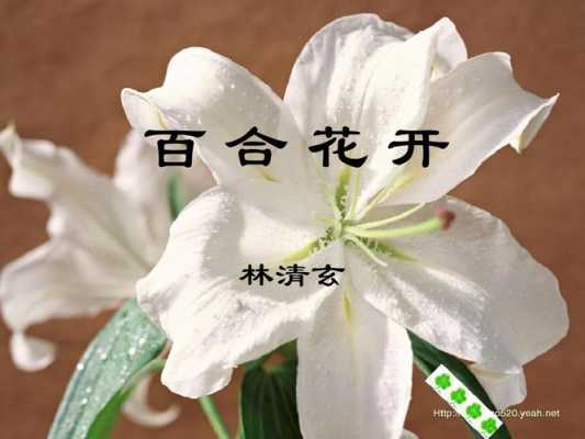 林清玄百合花开读后感（林清玄百合花开好词好句）