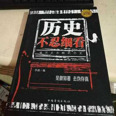 历史不能细看读后感（历史不能细看作者李漓）