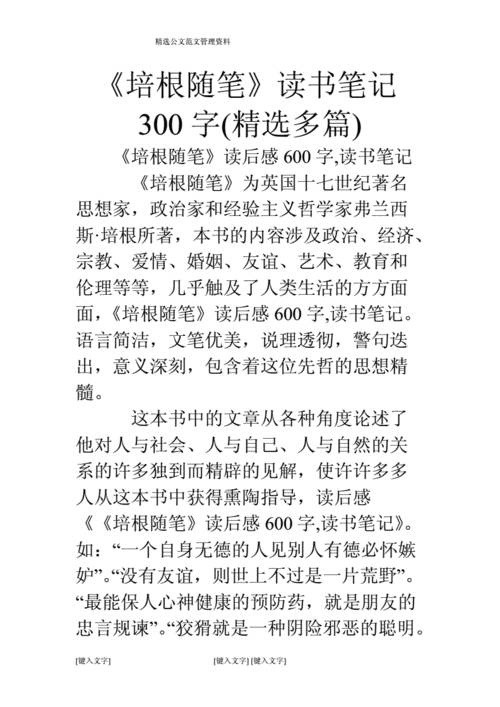 随笔读后感作文300字（随笔集读后感）