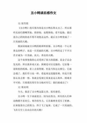 青蛙骑手的读后感的简单介绍