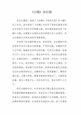 白鹅的读后感300字（白鹅读后感300字）