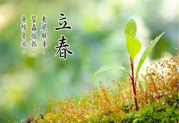 时节之美立春读后感（时节之美读后感受）