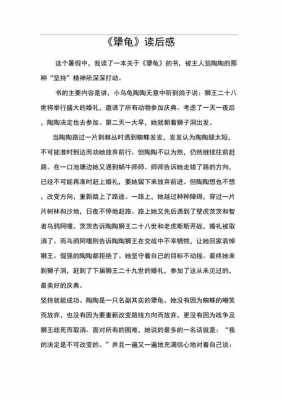 犟龟读后感评语（犟龟读后感100字）