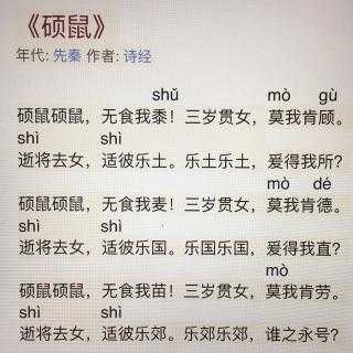 硕鼠读后感300字（硕鼠读后感500字）