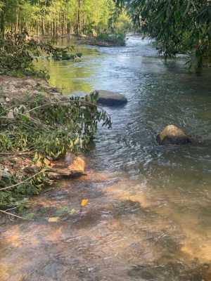 水库和小溪读后感（水库观后感）