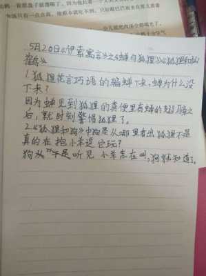 狐狸的预言故事读后感（狐狸的预言故事读后感50字）