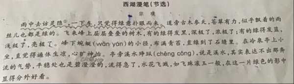 西湖漫笔读后感（西湖漫笔读后感20字）