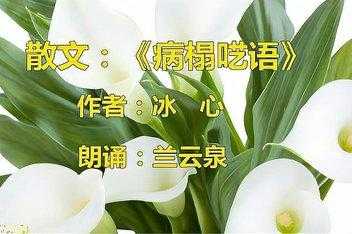 病榻呓语读后感（冰心病榻呓语）