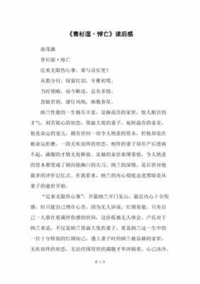 长衫老者读后感400（长衫老者读后感500字）