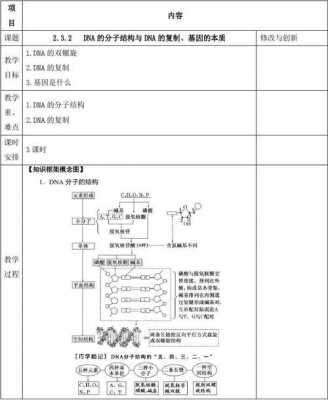 DNA结构功能读后感（dna的结构和功能知识点高中）