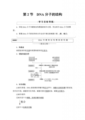 DNA结构功能读后感（dna的结构和功能知识点高中）