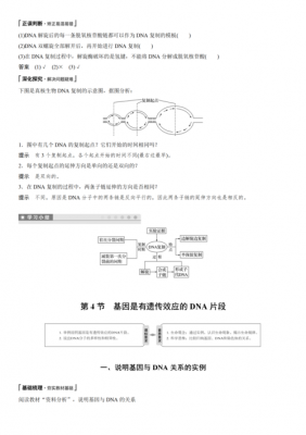 DNA结构功能读后感（dna的结构和功能知识点高中）