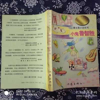 小鬼鲁智胜读后感50（小鬼鲁智胜读后感200字）