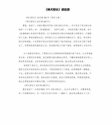 神犬探长的读后感（神犬探长读后感10个字）