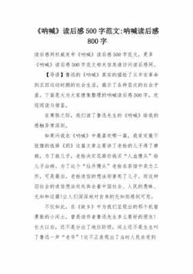 呐喊的读后感500（呐喊的读后感500字六年级）