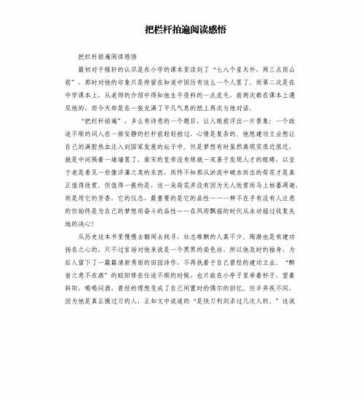 将栏杆拍遍读后感（把栏杆拍遍的读后感200字）