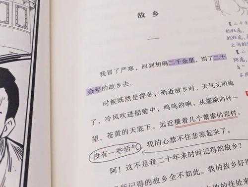 鲁迅写的故乡读后感（鲁迅写的故乡读后感600字）