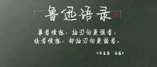 鲁迅的出关读后感（鲁迅出关读后感200字）