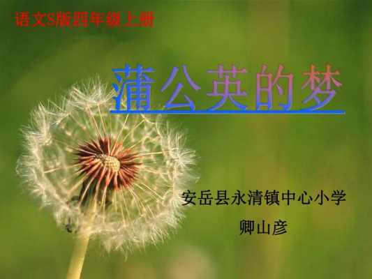 蒲公英的梦读后感（蒲公英的梦告诉我们什么道理）