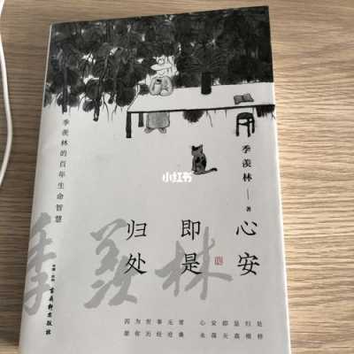 心安才能身安读后感（心安才能身安的意思）