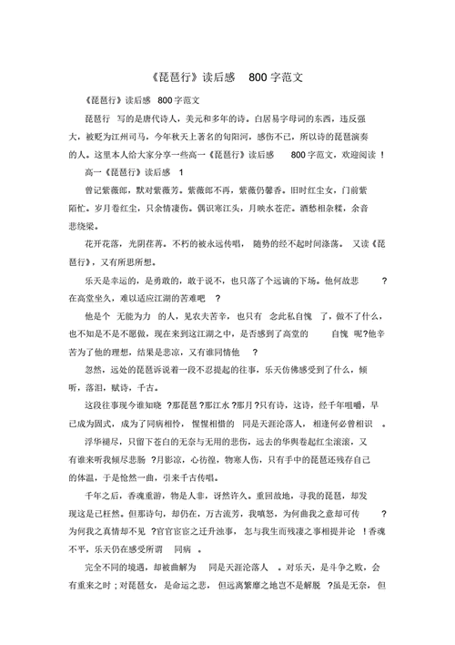 琵琶行读后感100（琵琶行读后感300字）