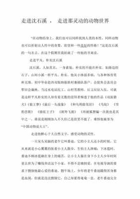 沈石溪的动物小说读后感（沈石溪的动物小说读后感300字）