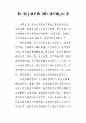 桥读后感总结（桥读后感作文）