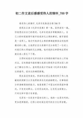 关于伟人的读后感（关于伟人的读后感作文）