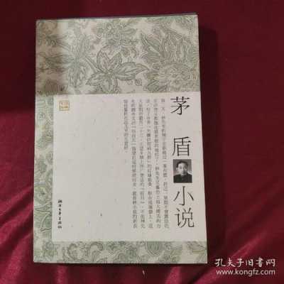 茅盾文学人生读后感（茅盾作品读后感）