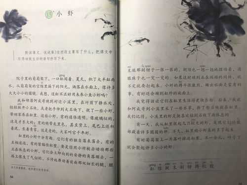 课文《小虾》的读后感（小虾课文读后感受）