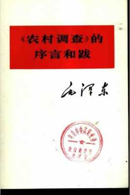 农村调查读后感（农村调查的序和跋读后感）