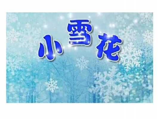 小雪花医生的读后感（小雪花的话读后感）