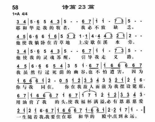 诗篇47篇读后感（诗篇47篇读后感300字）