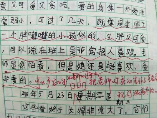 叶圣陶蚕读后感感（蚕读后感100字）