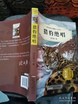 猎豹绝唱读后感200（猎豹绝唱读后感600字）