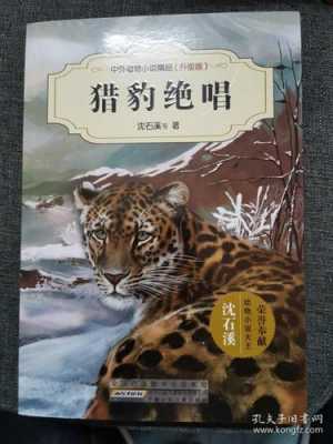 猎豹绝唱读后感200（猎豹绝唱读后感600字）