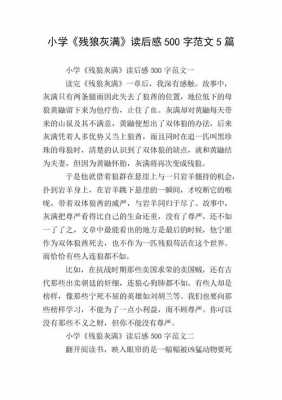 读后感两篇1000（读后感两篇500字以上）