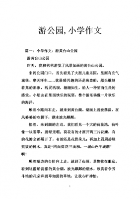 公园游玩的作文读后感（公园游后感400字）